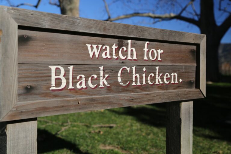 Biale Black Chicken sign