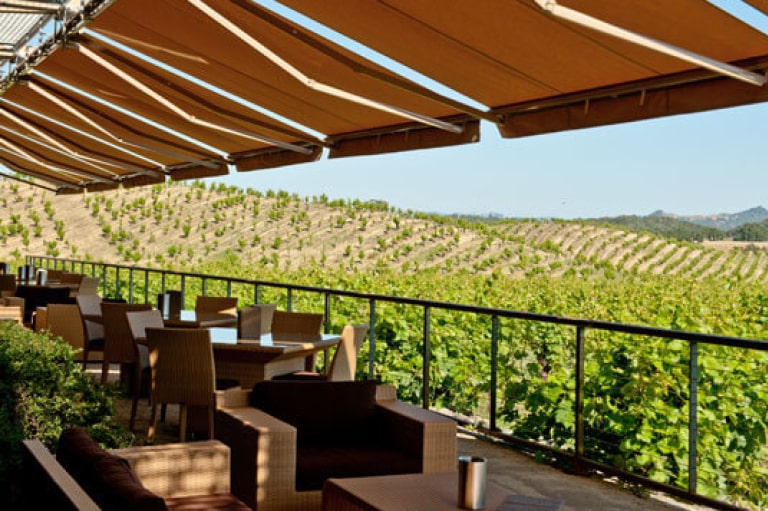 RidgeVineyards_02_768x512-min