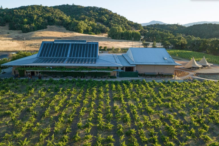 RidgeVineyards_01_768x512-min